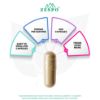 Picture of Zespo Lion’s Mane 4-in-1 Mushroom Complex 1,200 mg - 60 Capsules