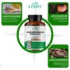 Picture of Cordyceps Complex (Keeda Jadi) 650mg – 60 Capsules