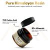 Picture of Himalayan Shilajit