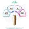Picture of Brain Booster