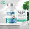 Picture of Brain Booster
