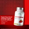 Picture of Berberine