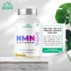 Picture of NMN Nicotinamide