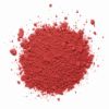 Cranberry Extract Powder capsules