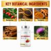 Picture of Zespo Berberine Complex 1,200 mg – 120 Vegetarian Capsules