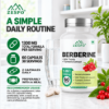 Picture of Zespo Berberine 5-in-1 Complex 1,300 mg – 60 Capsules