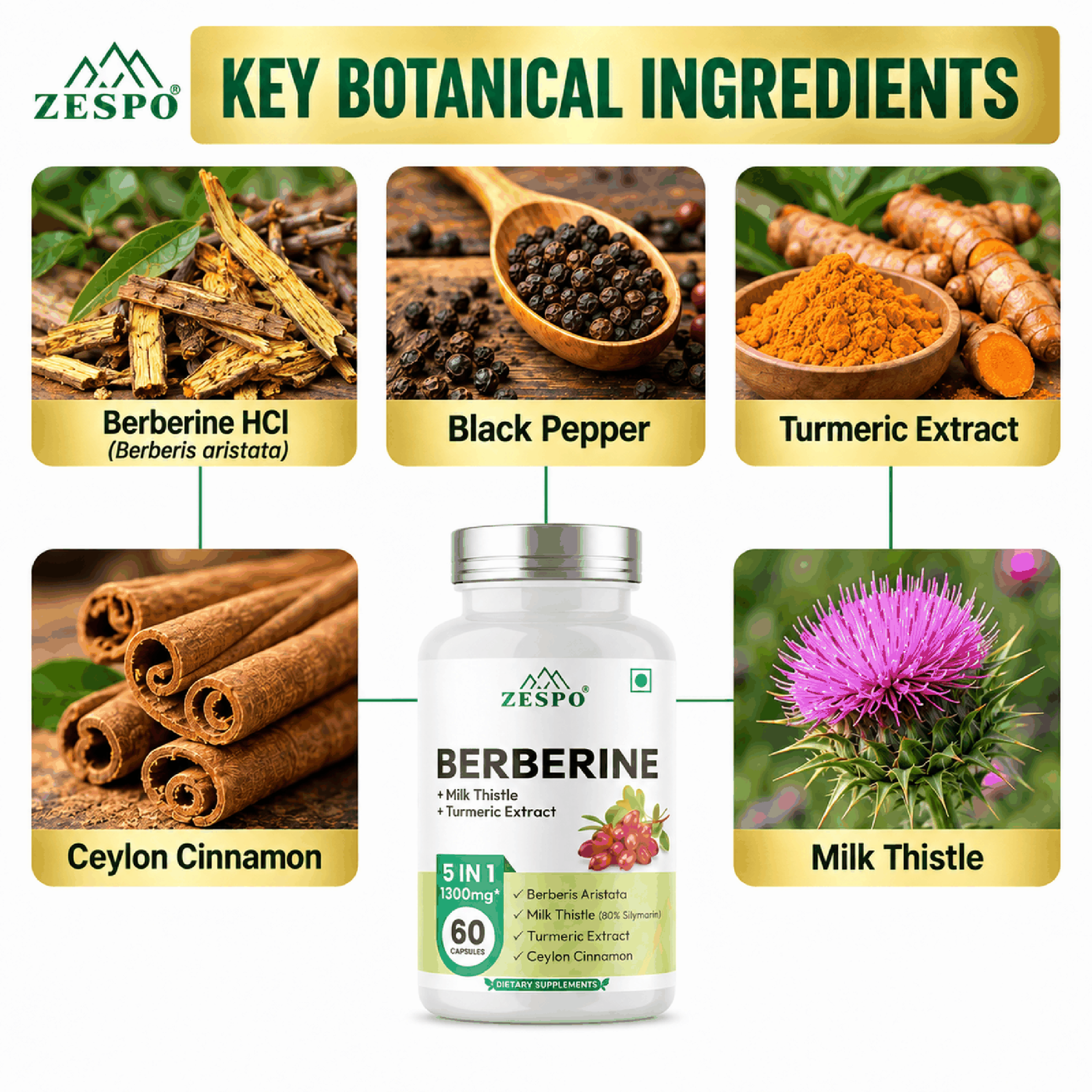 Berberine 5-in-1 Complex: What Each Ingredient Is