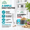 Picture of Zespo Astragalus Root 10:1 Extract 600 mg - 60 Capsules