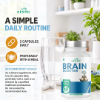Picture of Zespo 5-in-1 Complex 1,100 mg with L-Theanine, GABA & Lion's Mane – 60 Capsules