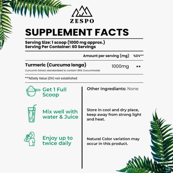 Zespo Curcumin Powder 95% curcuminoids front pouch vegan non-GMO.