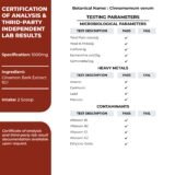 Pure Cinnamon Bark Extract Powder (Cinnamomum zeylanicum). Non-GMO, Vegan, GMP-certified, lab-tested. 1000mg per serving.