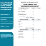 Coconut Water Powder – Natural Electrolyte Drink Mix (Non-GMO & Vegan)