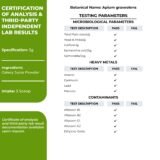 Zespo Celery Juice Powder 60g pouch – natural vegan superfood”