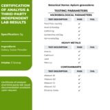 Zespo Celery Juice Powder 60g pouch – natural vegan superfood”